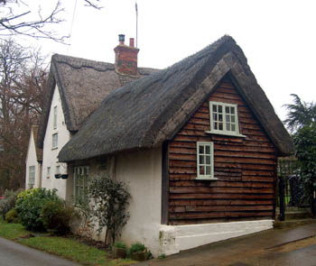 The Thatch Cottage January 2008